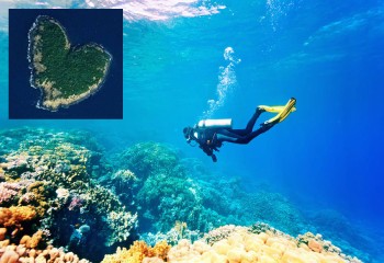 NETRANI HEART SHAPED ISLAND: The best Under-Sea scenery in Karnataka & 2nd best scuba diving spots in India
